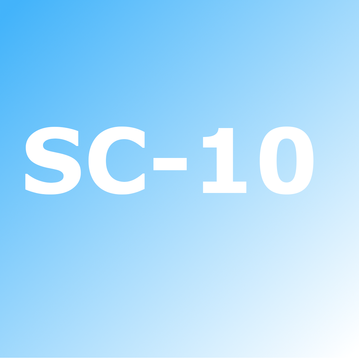 SC-10 Kompressorteile 